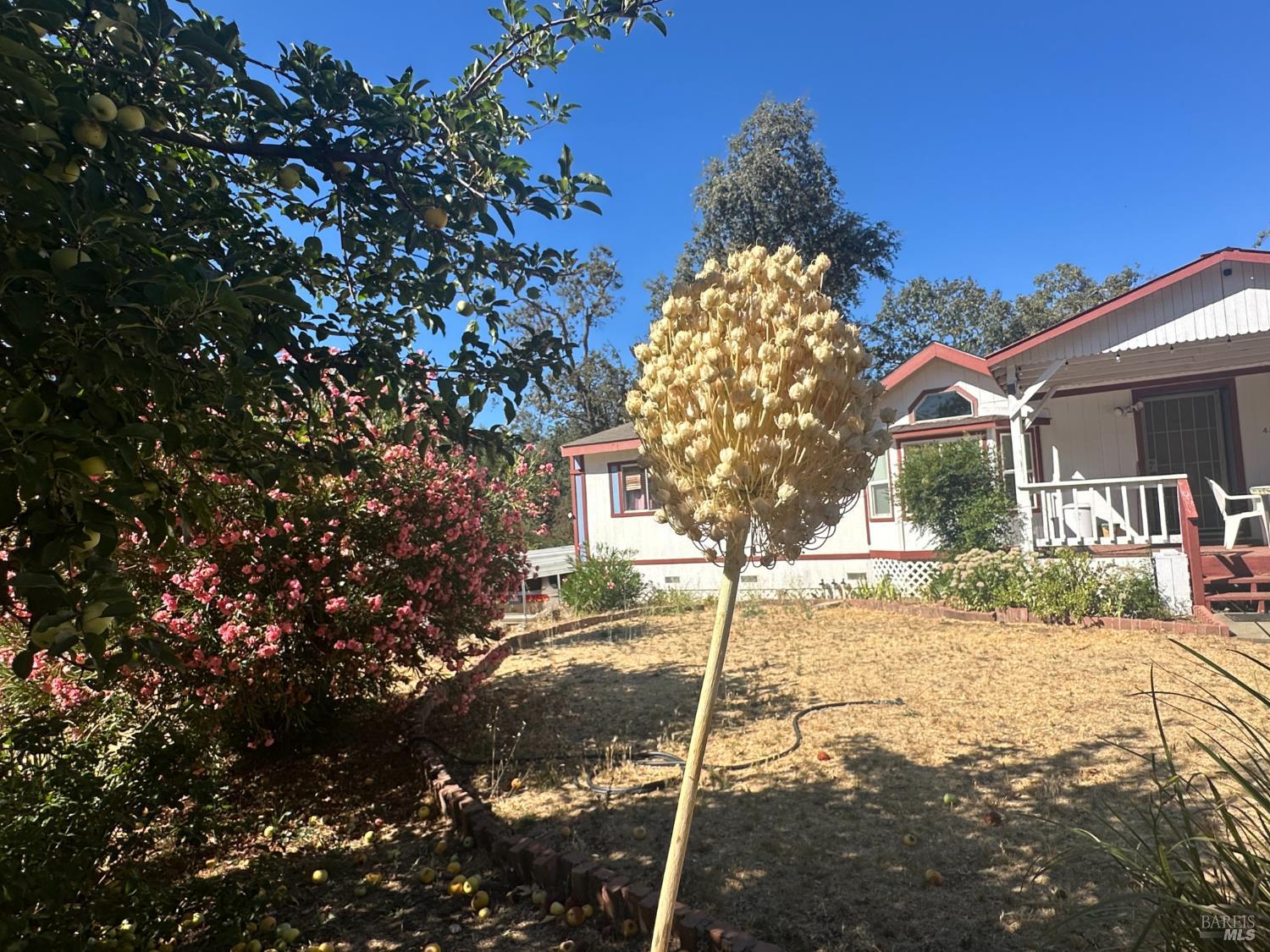 424 Clark Way Angwin CA 94508
