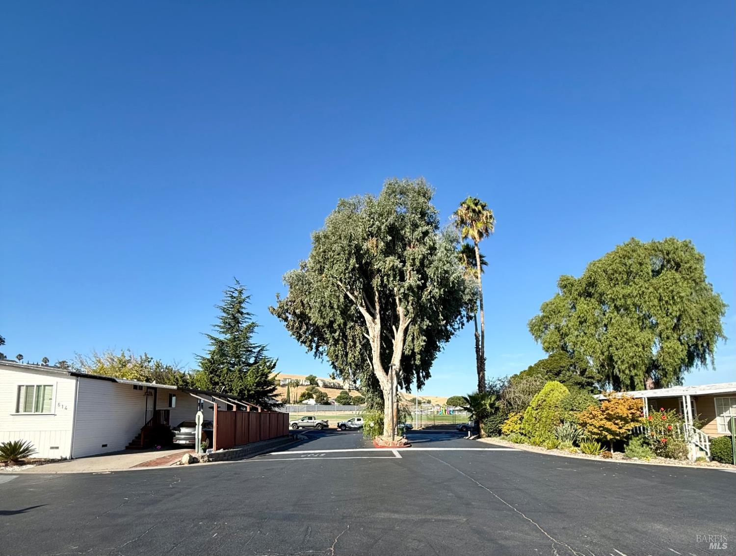 733 Treasure Drive Bay Point CA 94565