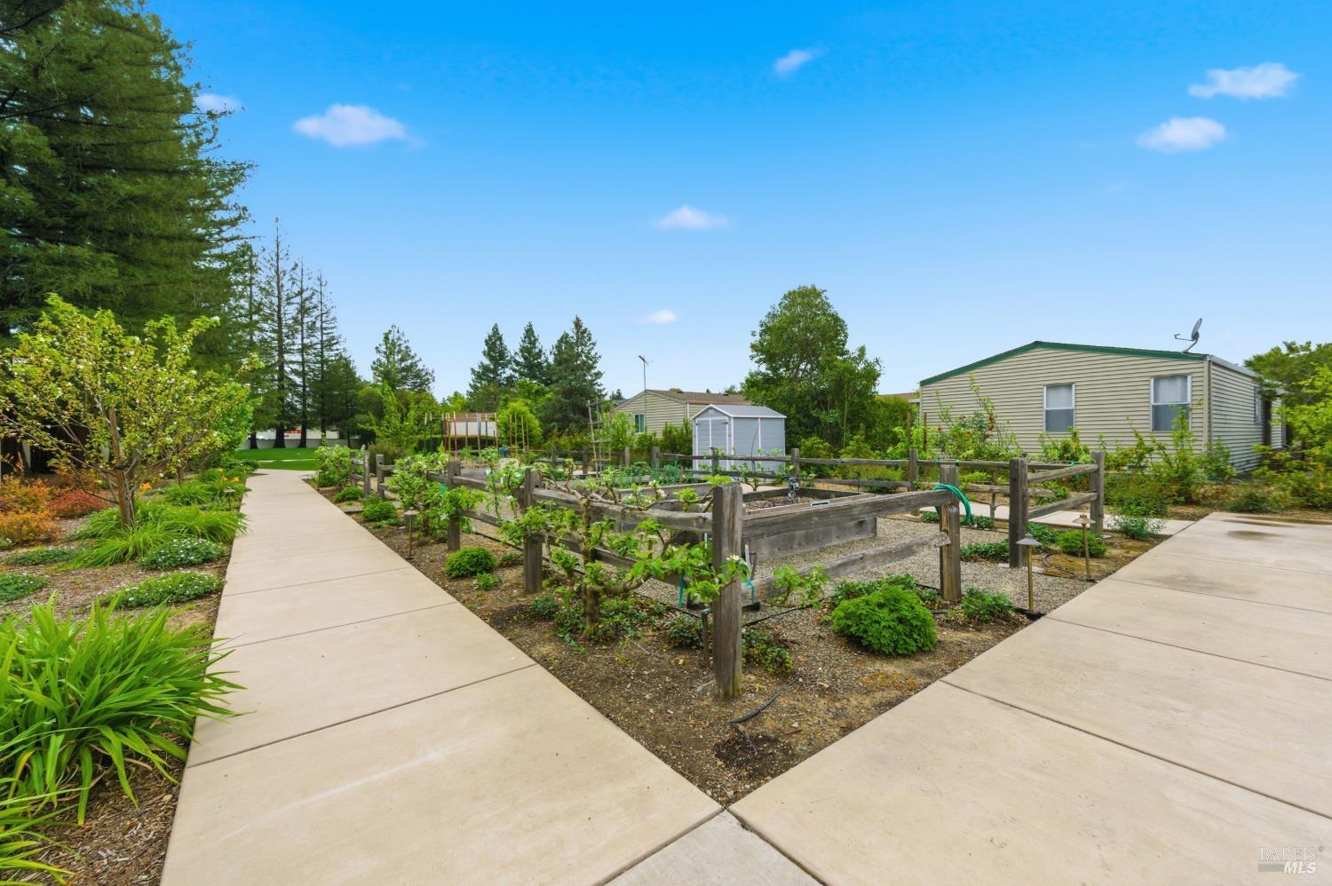 212 Betsy Place Napa CA 94558