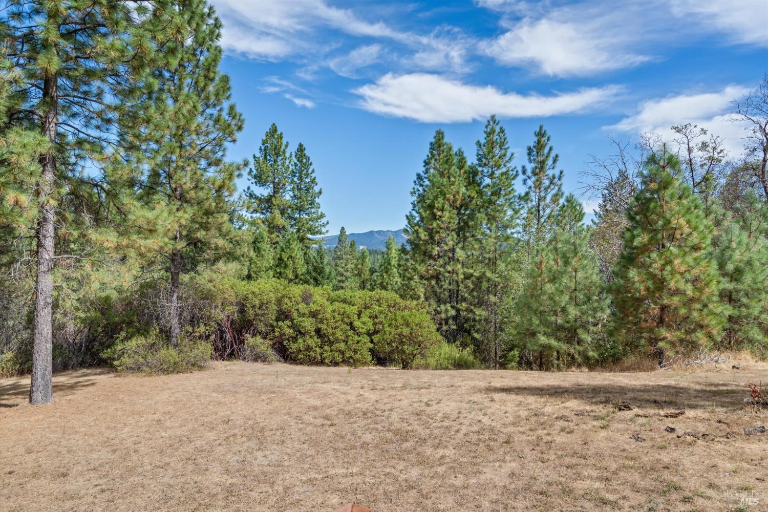 1510 Fitch Road Laytonville CA 95454