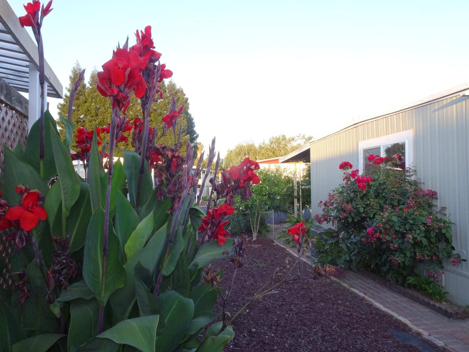 18450 N Highway 88 Lockeford CA 95237