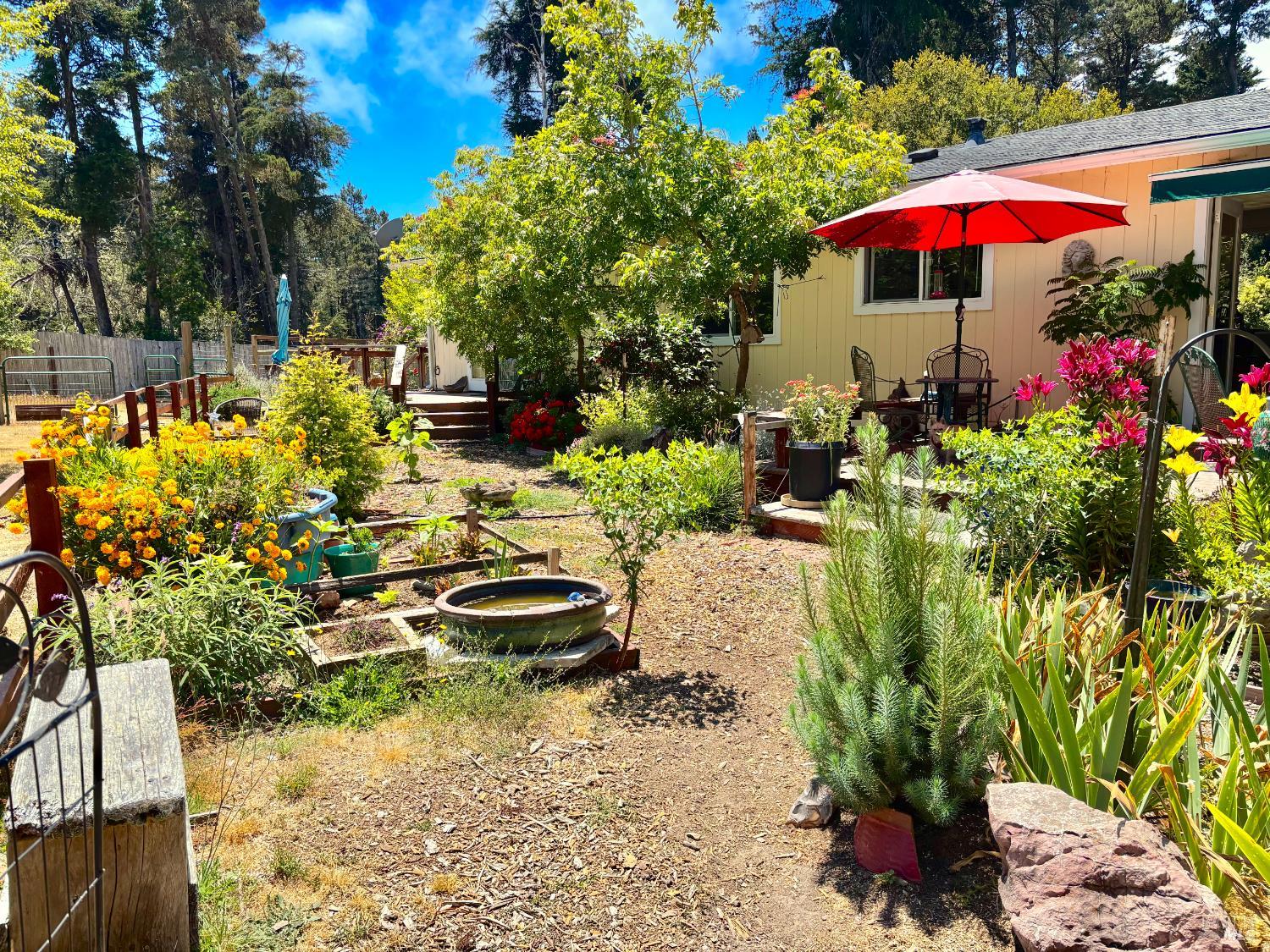 14100 Prairie Way Mendocino CA 95460