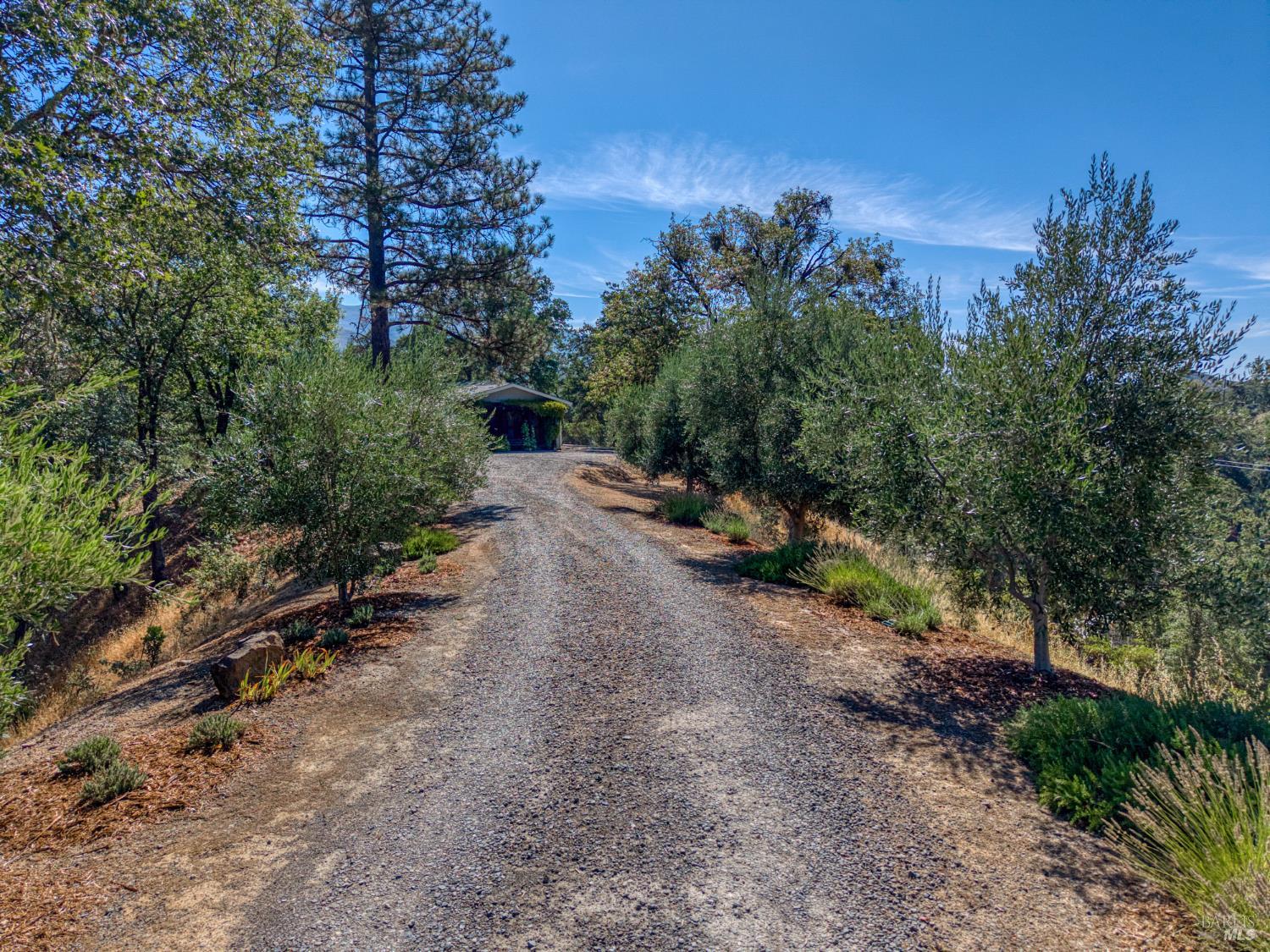12431 Elk Mountain Road Upper Lake CA 95485