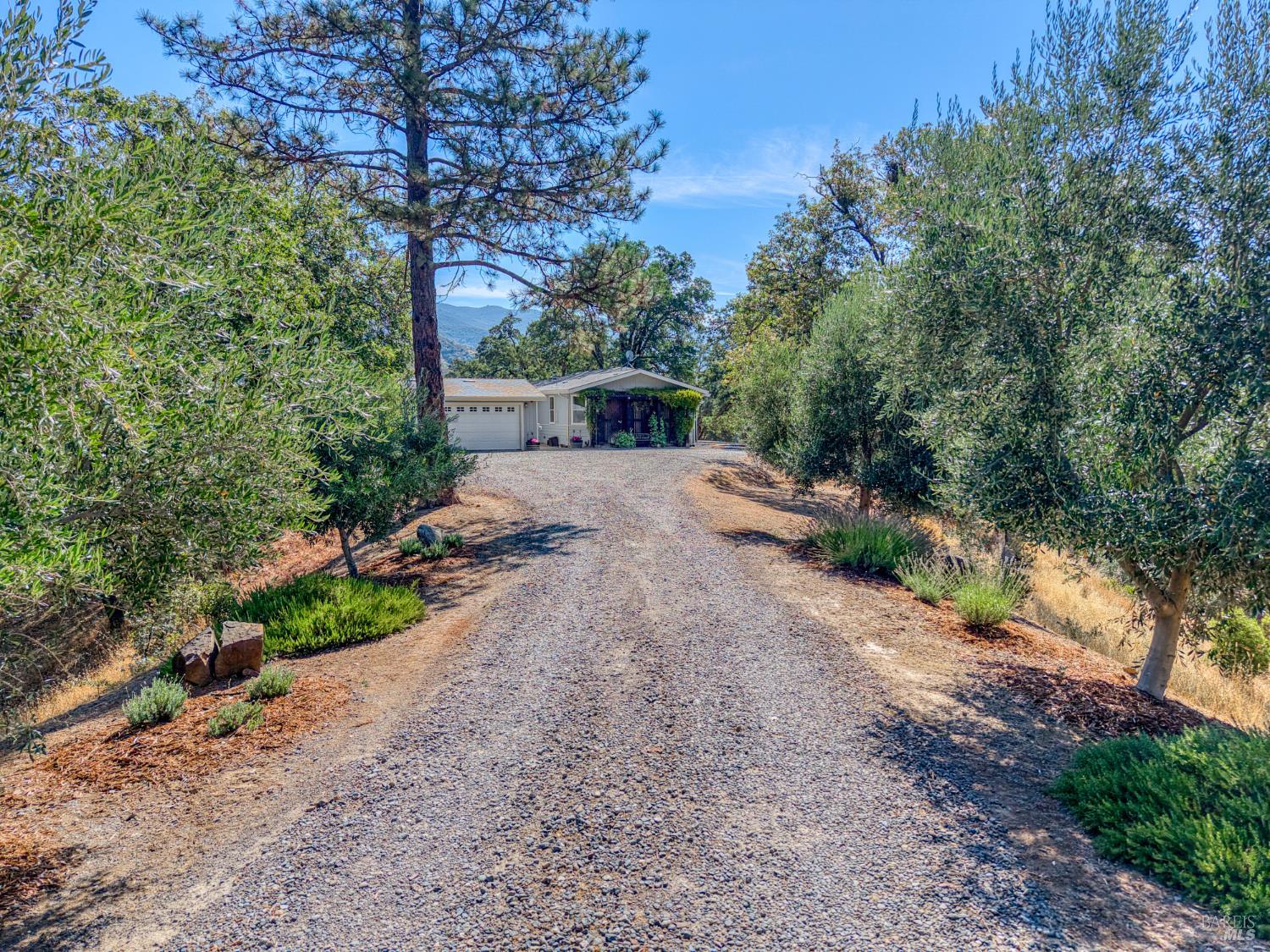 12431 Elk Mountain Road Upper Lake CA 95485