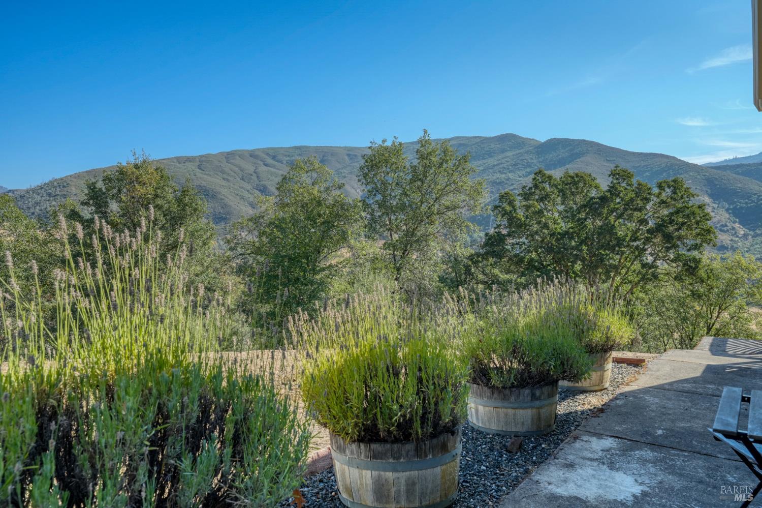 12431 Elk Mountain Road Upper Lake CA 95485
