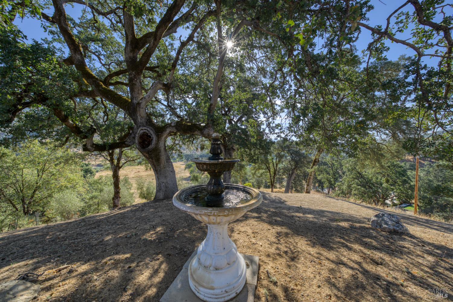 12431 Elk Mountain Road Upper Lake CA 95485