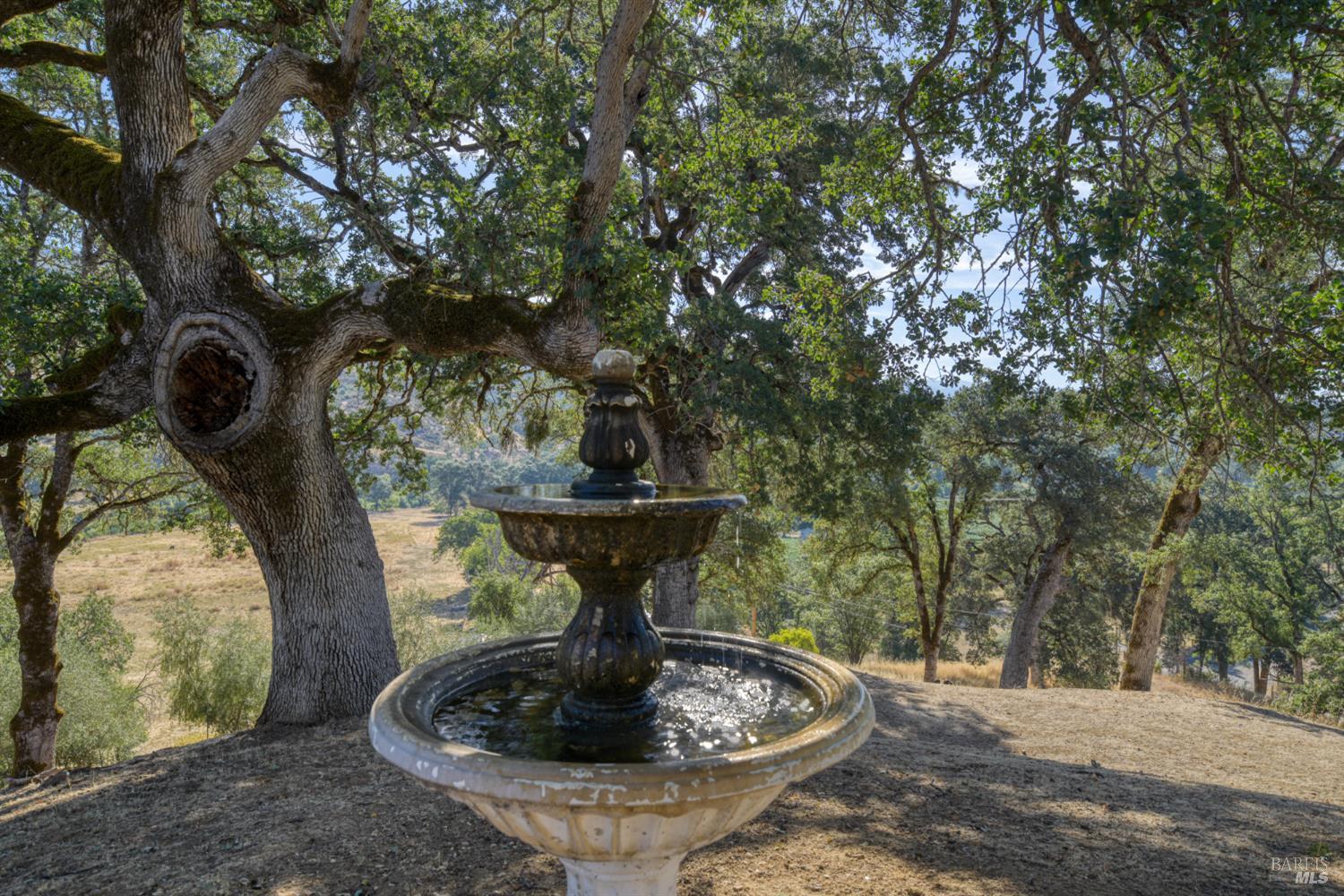 12431 Elk Mountain Road Upper Lake CA 95485