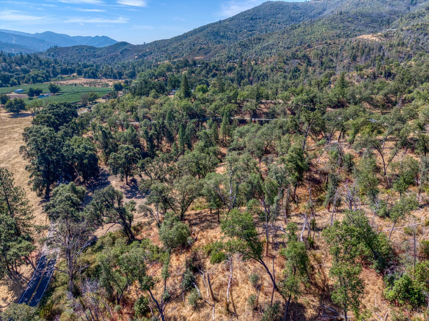 12431 Elk Mountain Road Upper Lake CA 95485