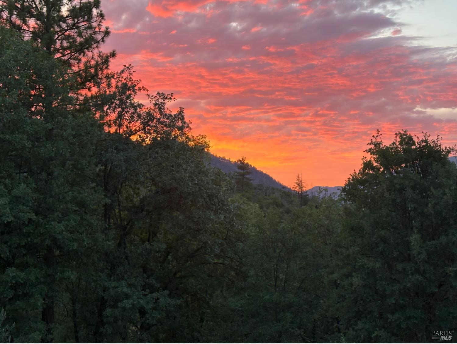 12431 Elk Mountain Road Upper Lake CA 95485