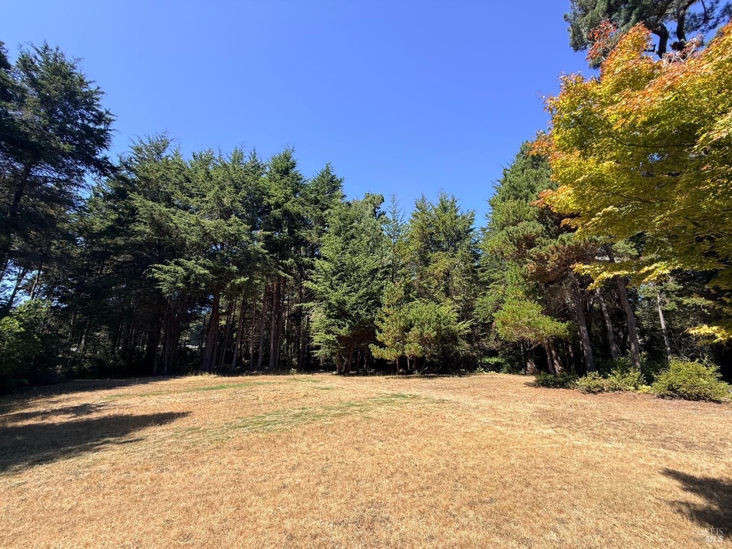 31290 Thomas Lane Fort Bragg CA 95437