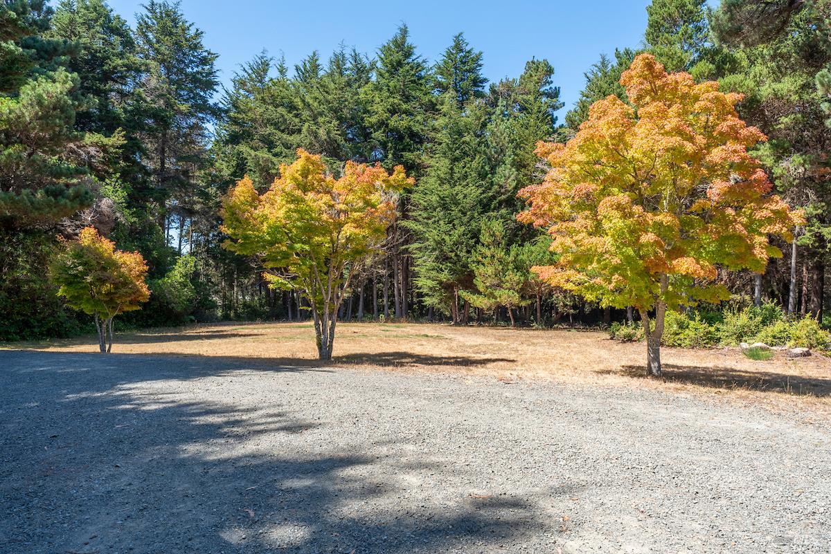 31290 Thomas Lane Fort Bragg CA 95437