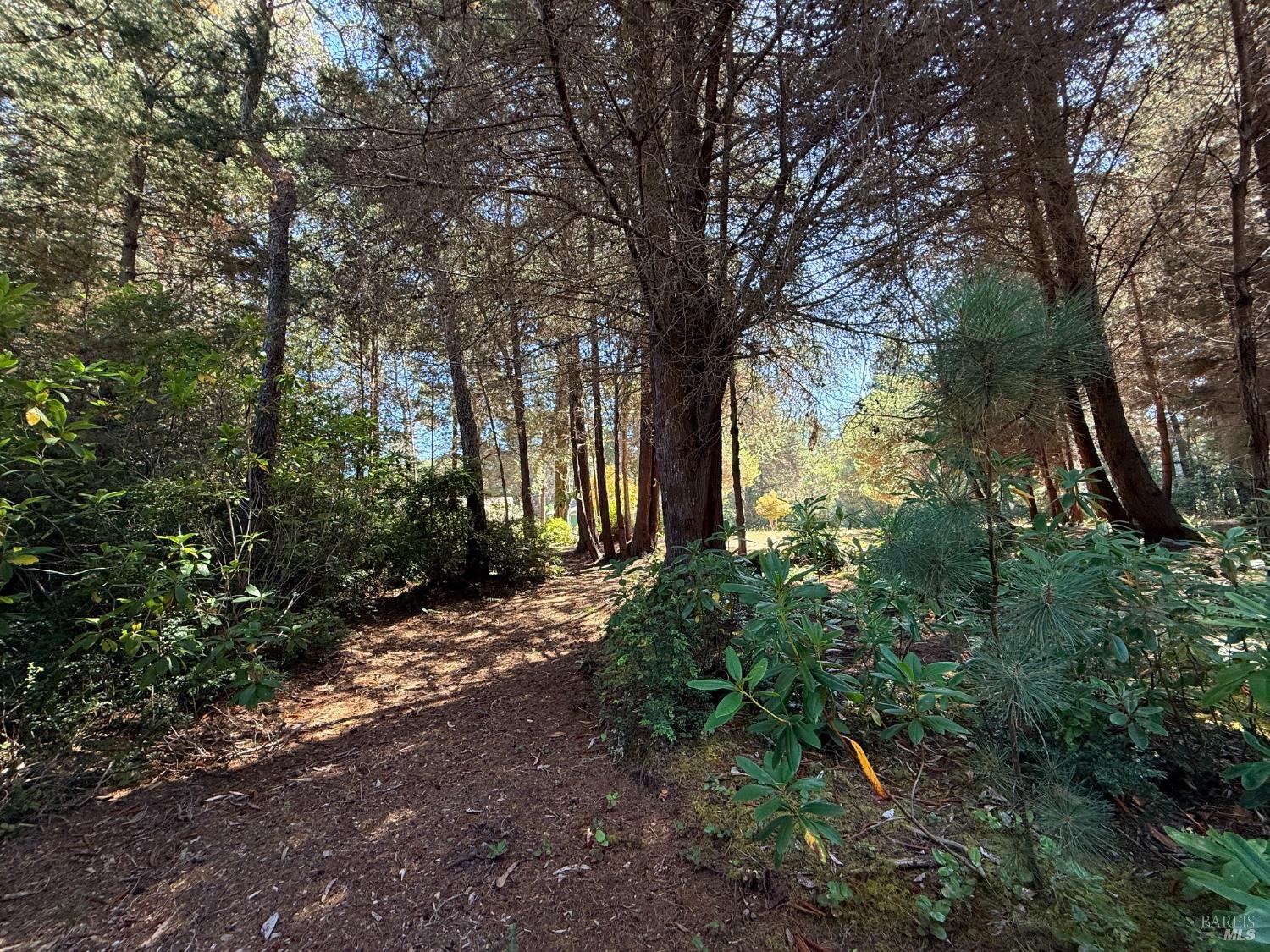 31290 Thomas Lane Fort Bragg CA 95437