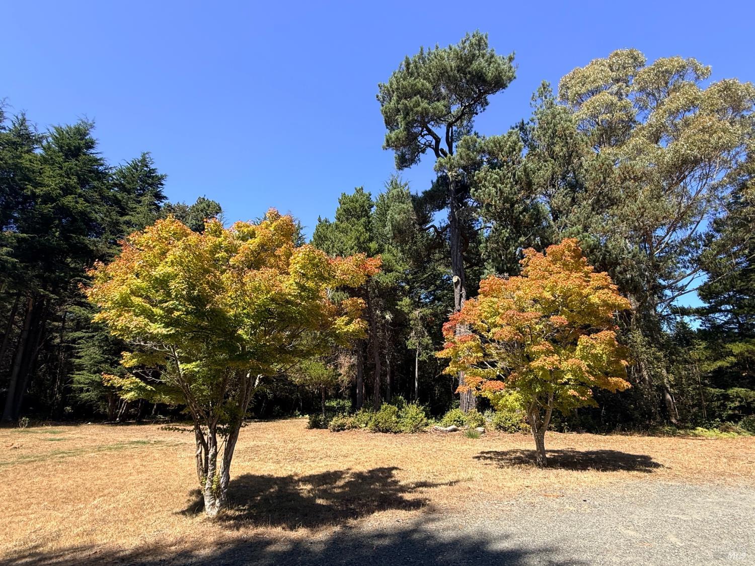 31290 Thomas Lane Fort Bragg CA 95437