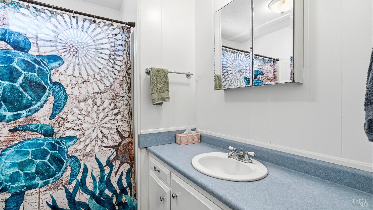 48 Shadyleaf Court Santa Rosa CA 95409