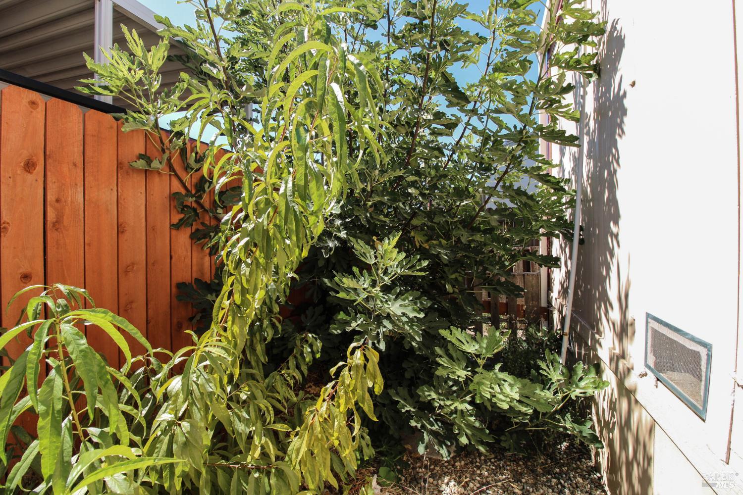 8 Mast Drive Suisun City CA 94585