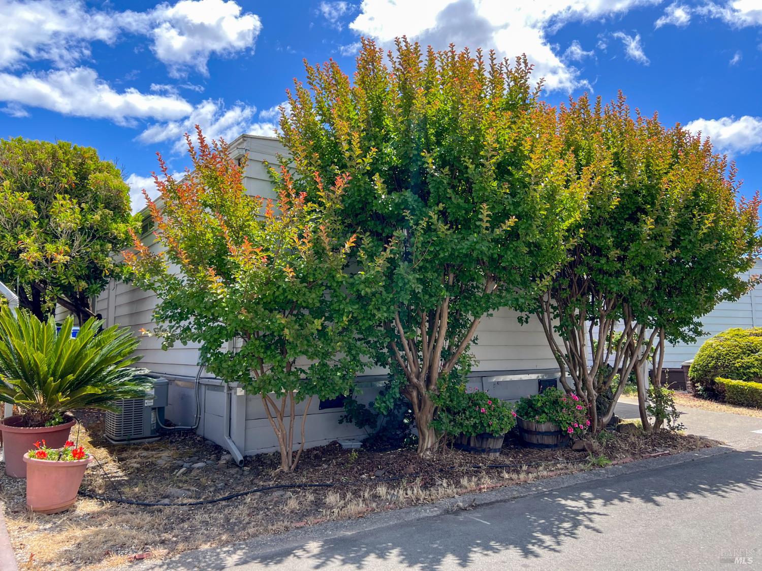 77 Guaymas Drive Sonoma CA 95476