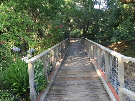 31 Springhill Court Santa Rosa CA 95409