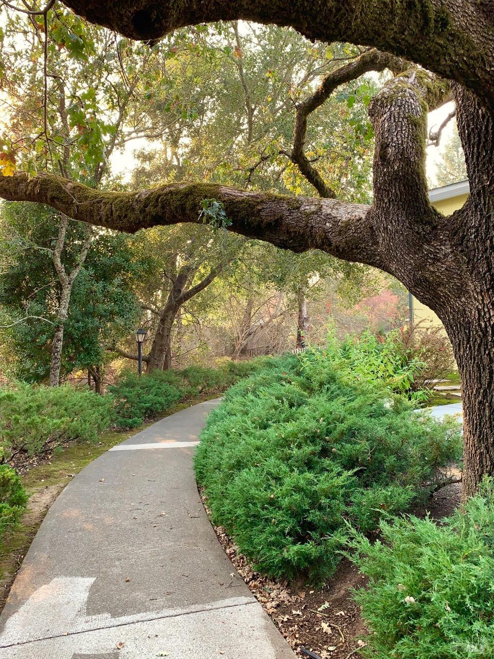 31 Springhill Court Santa Rosa CA 95409
