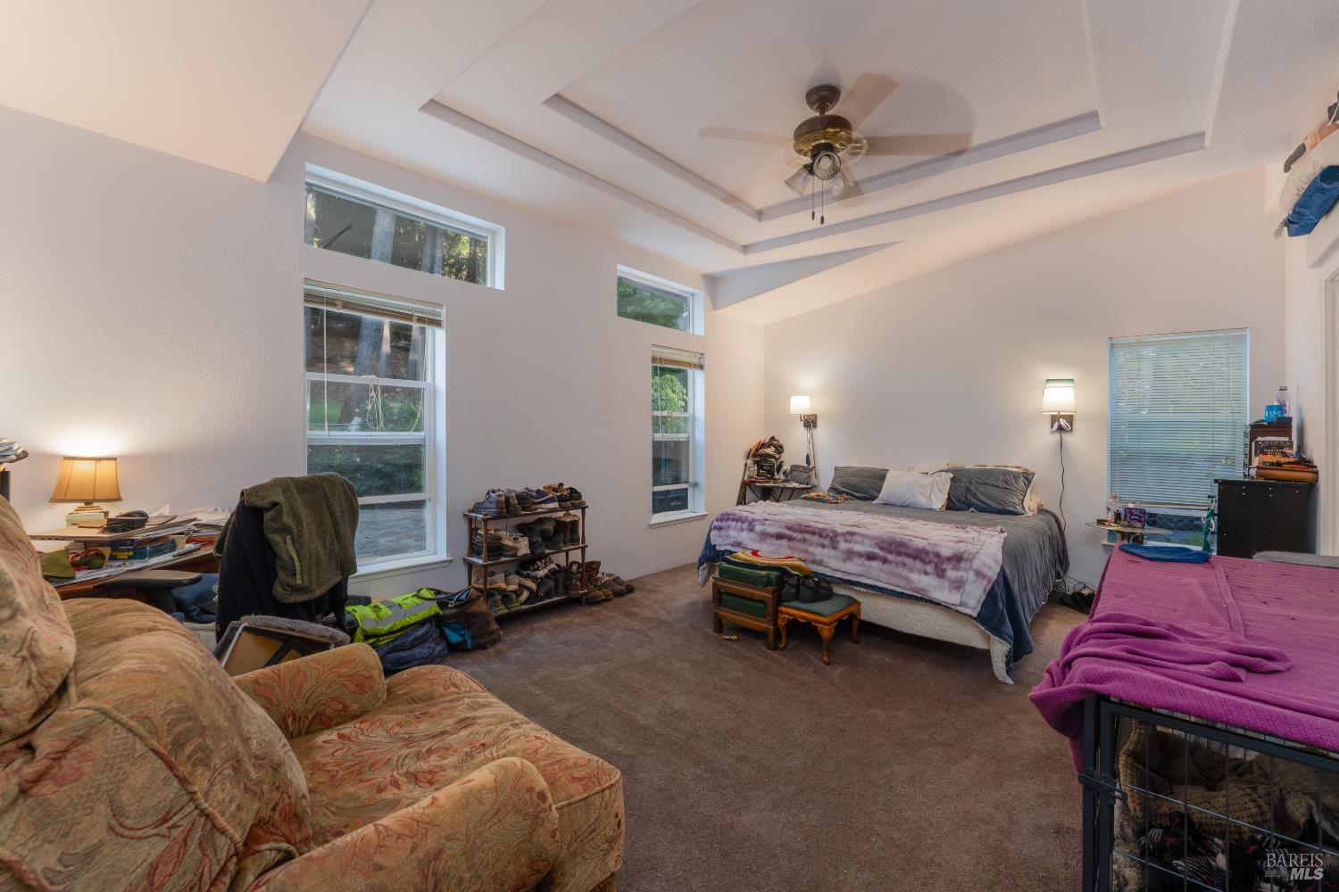 54101 Wildwood Drive Leggett CA 95585