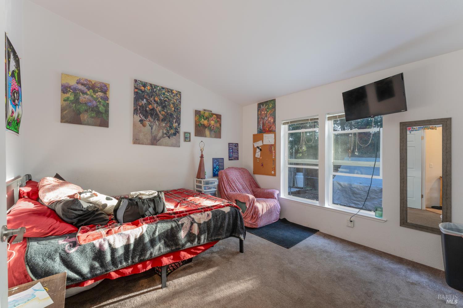 54101 Wildwood Drive Leggett CA 95585