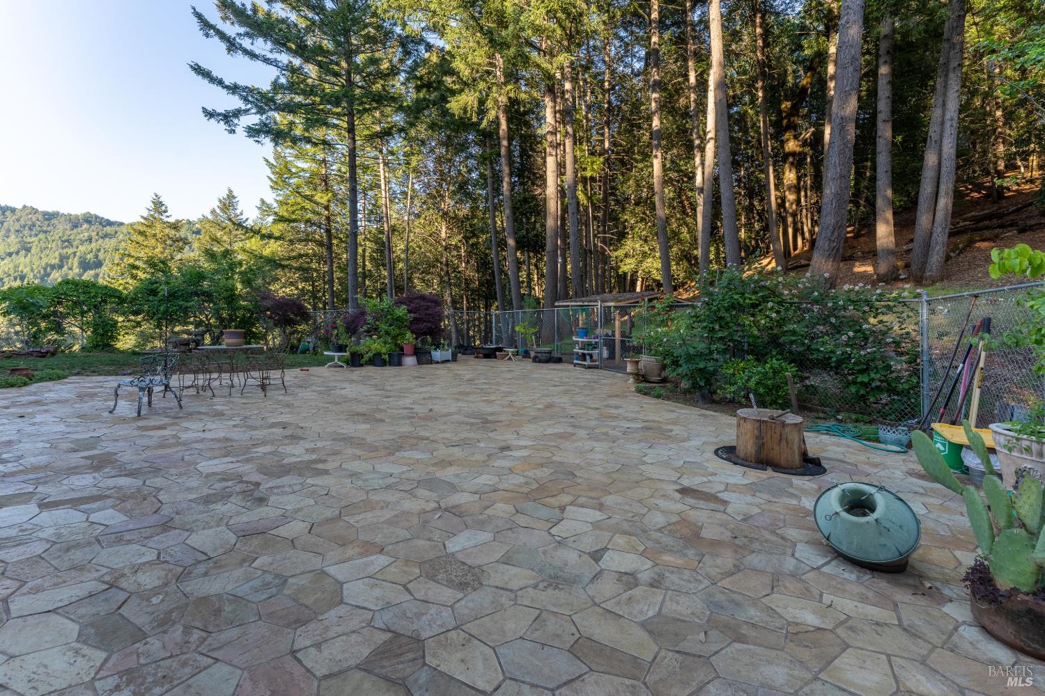 54101 Wildwood Drive Leggett CA 95585