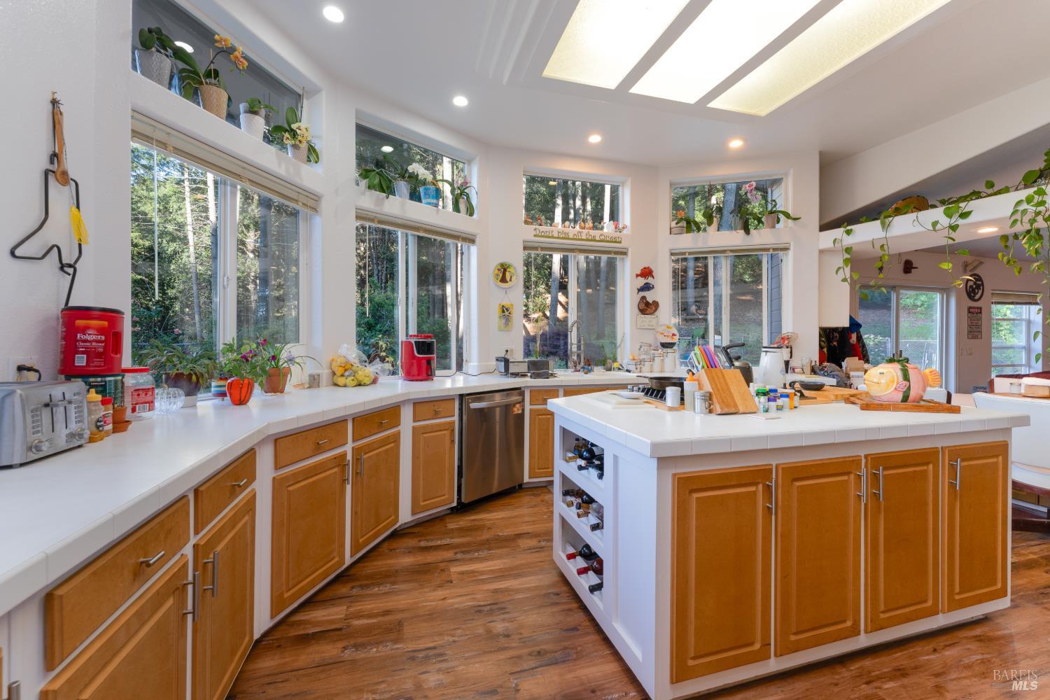 54101 Wildwood Drive Leggett CA 95585