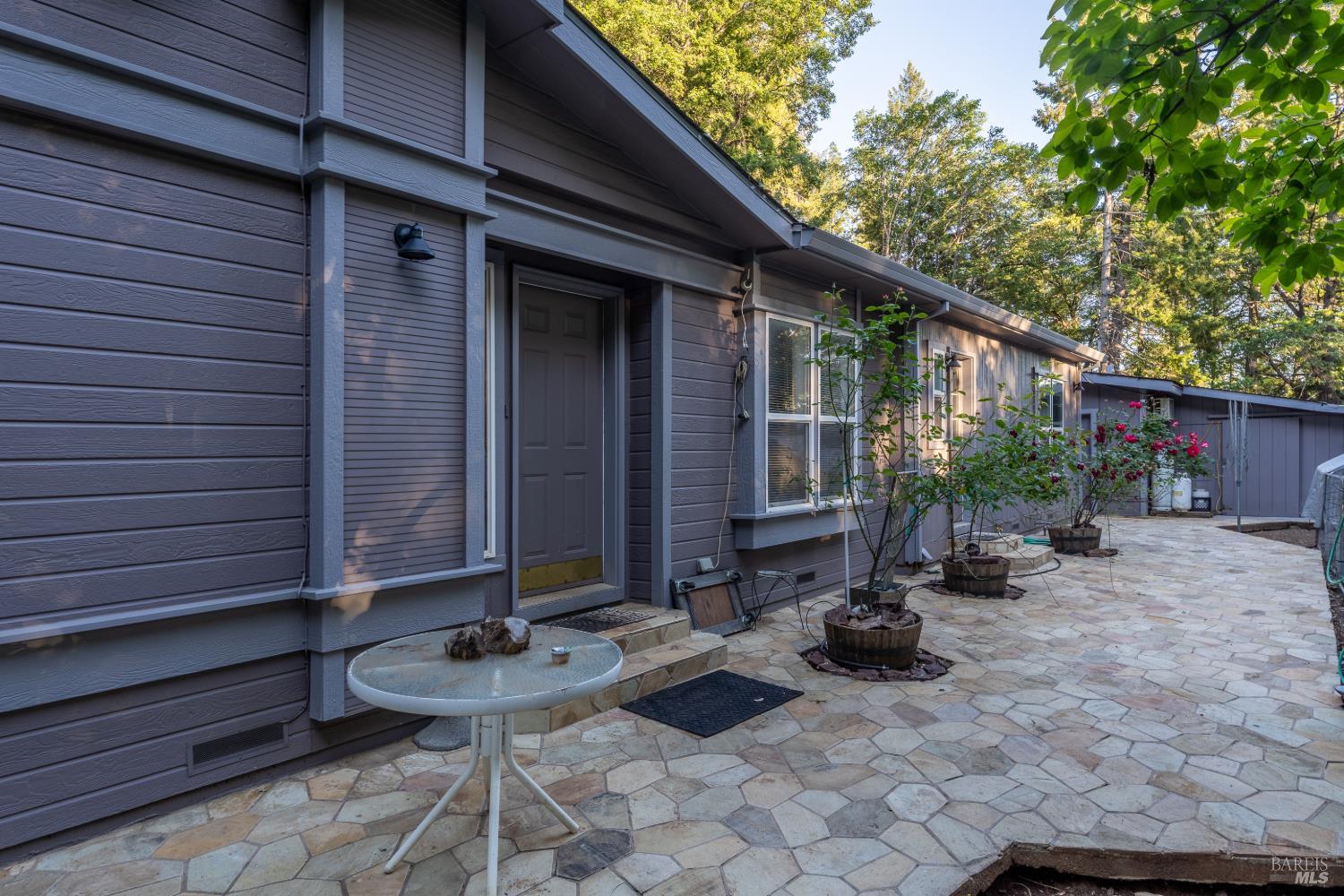 54101 Wildwood Drive Leggett CA 95585