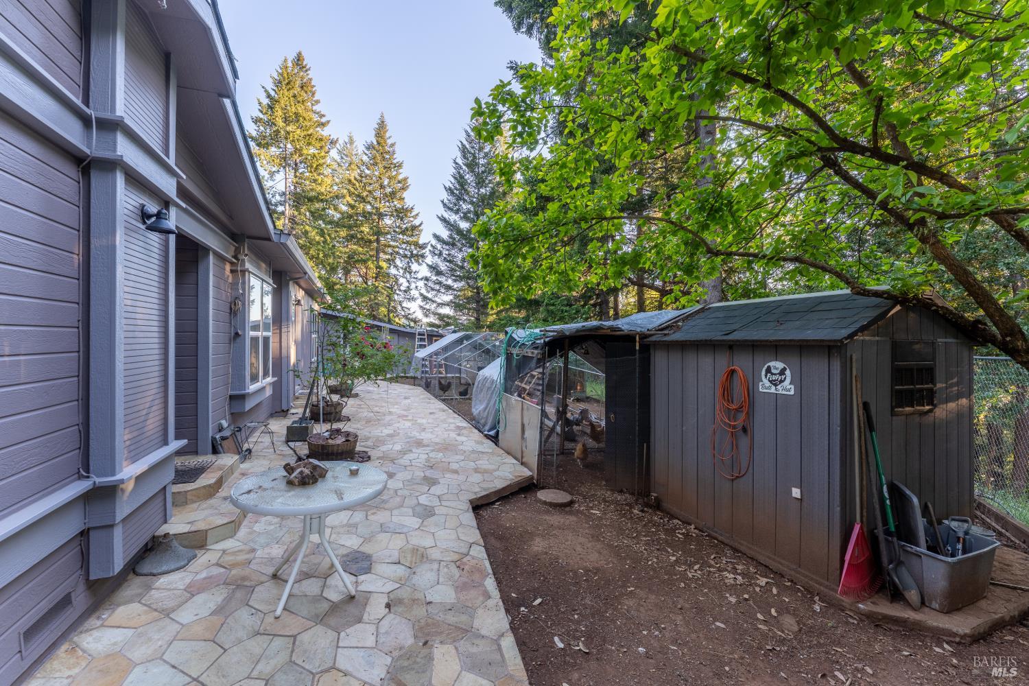 54101 Wildwood Drive Leggett CA 95585