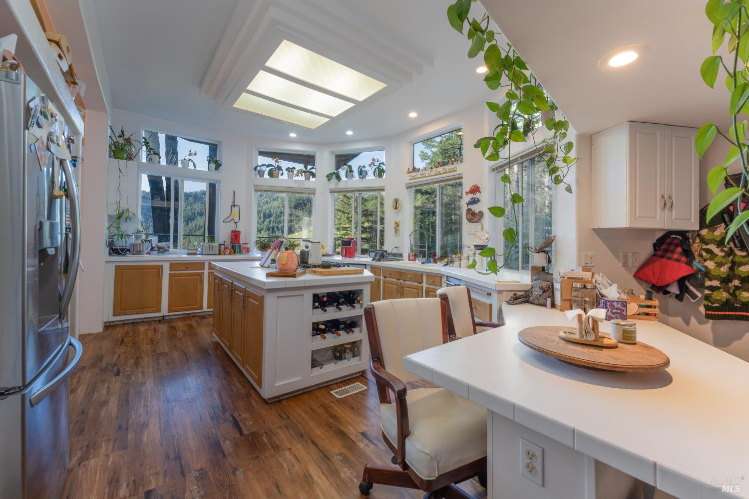 54101 Wildwood Drive Leggett CA 95585