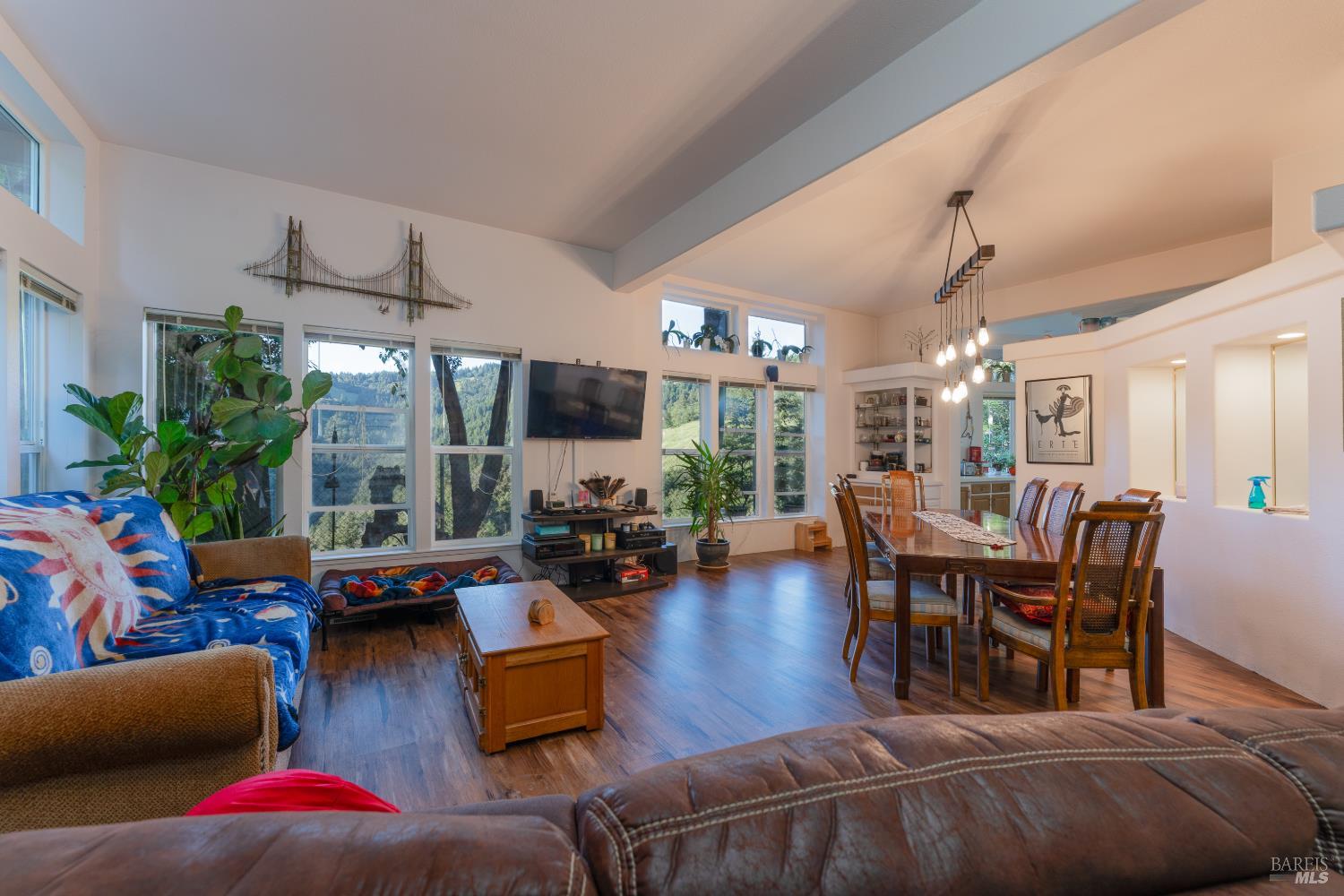 54101 Wildwood Drive Leggett CA 95585