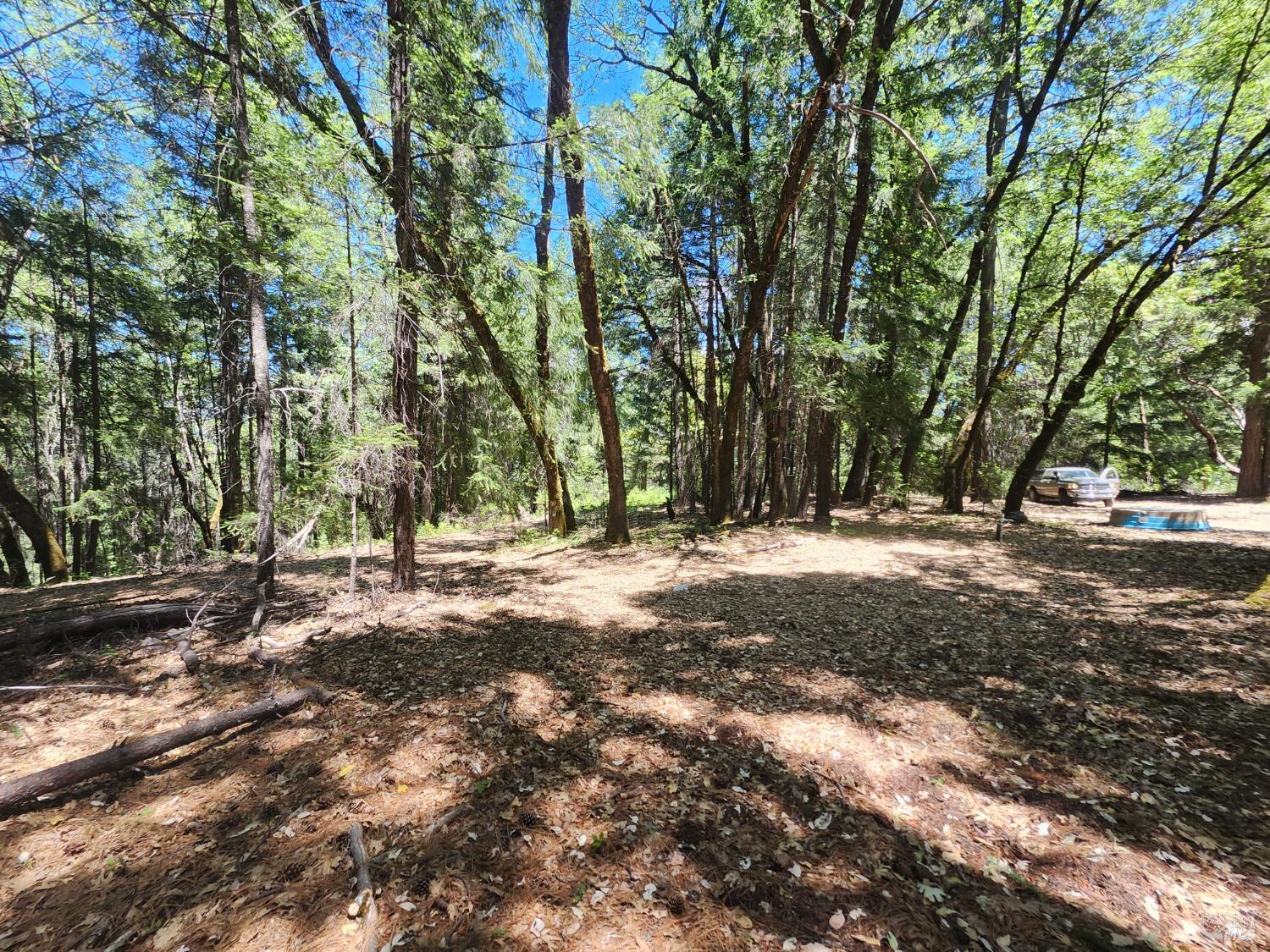78601 Mina Road Covelo CA 95428
