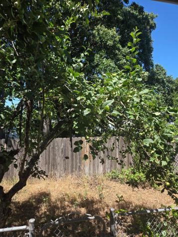 84 Westgate Circle Santa Rosa CA 95401