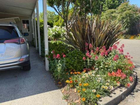 84 La Paz Drive Sonoma CA 95476