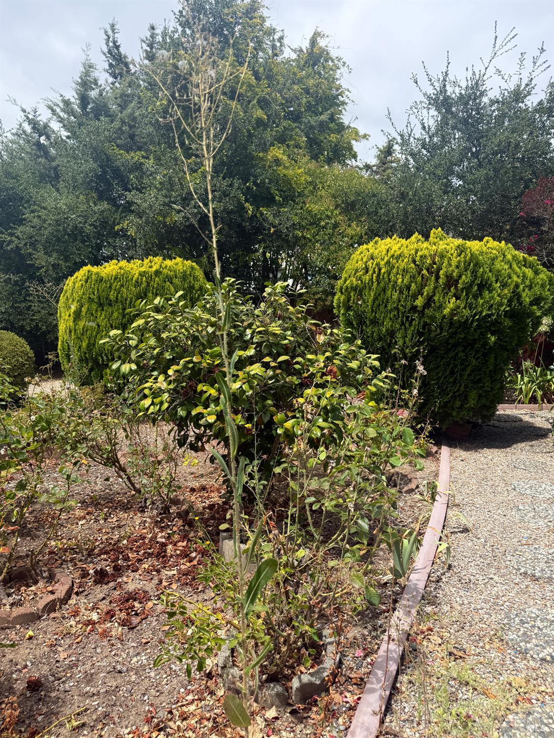 150 Silverado Trail Napa CA 94559