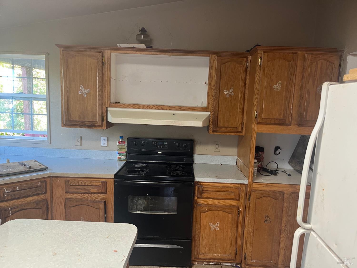 10703 Paradise Court Kelseyville CA 95451