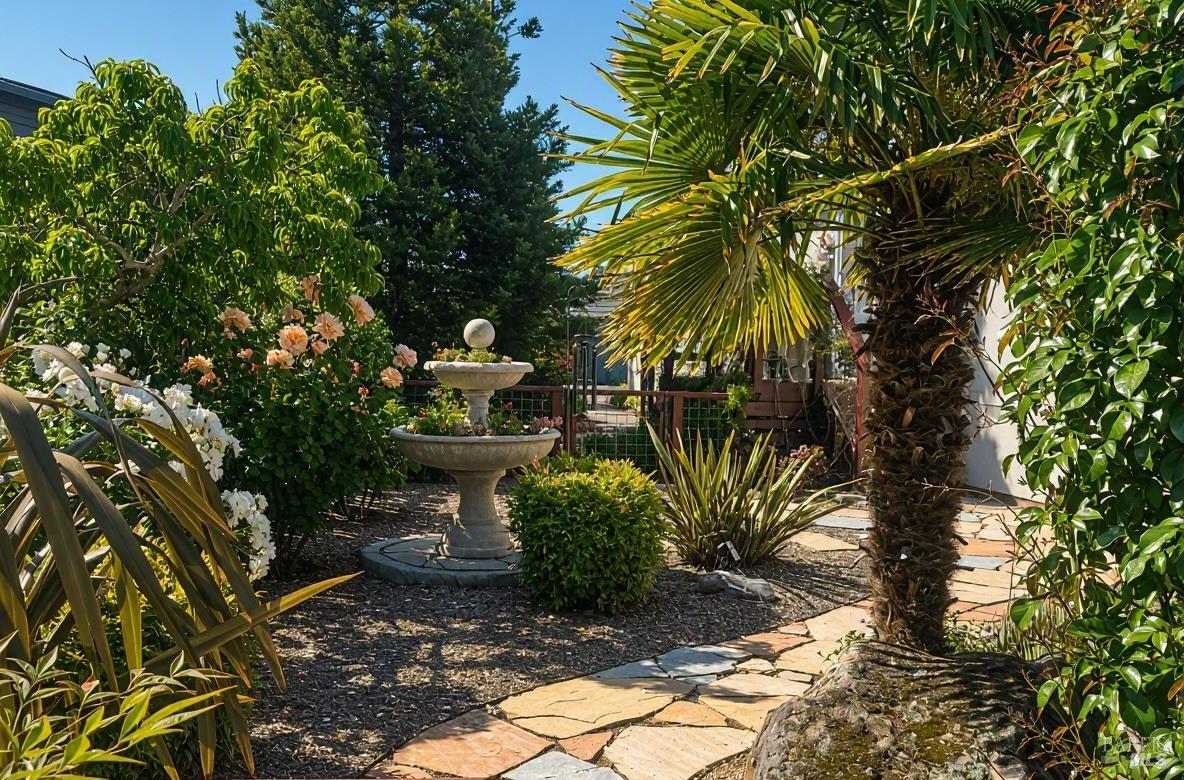 376 Glacier Way San Rafael CA 94903