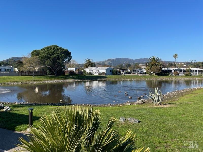 376 Glacier Way San Rafael CA 94903
