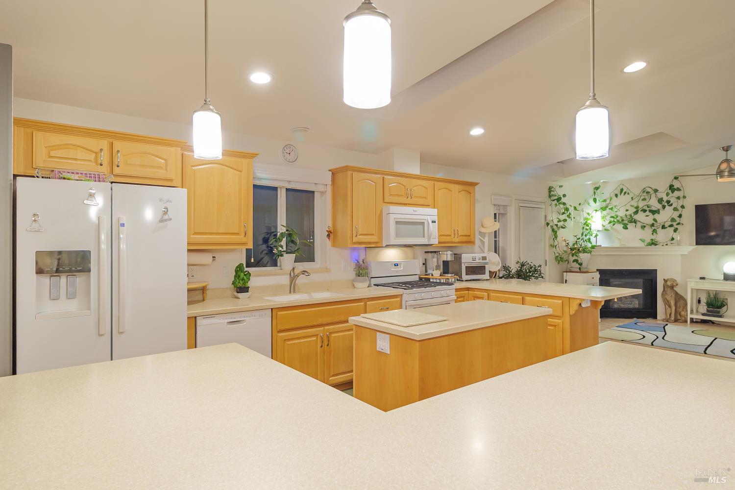 376 Glacier Way San Rafael CA 94903