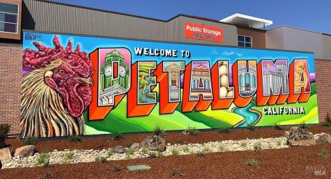 97 Candlewood Drive Petaluma CA 94954