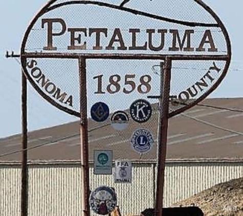 97 Candlewood Drive Petaluma CA 94954