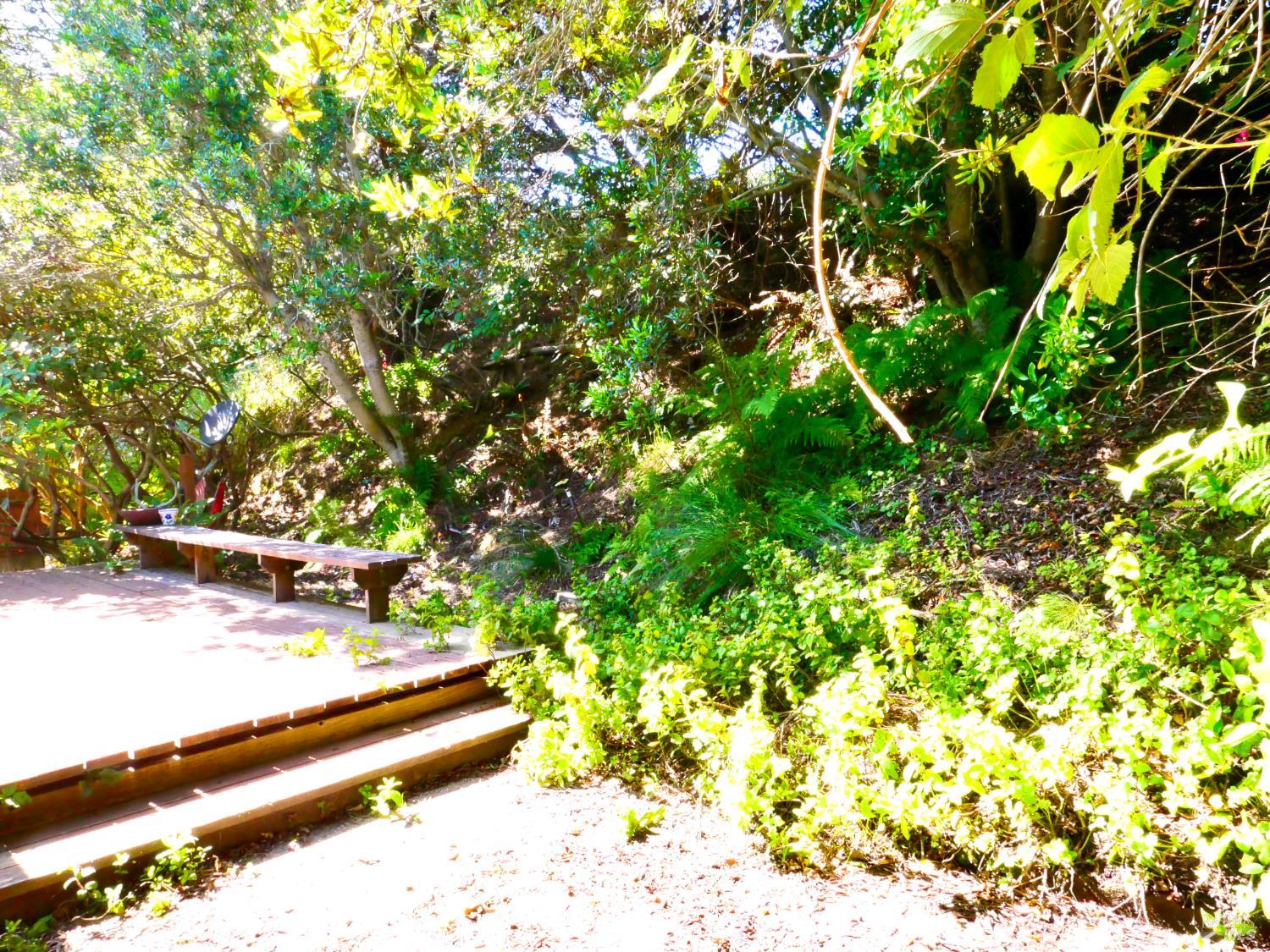 Fort Bragg CA 95437