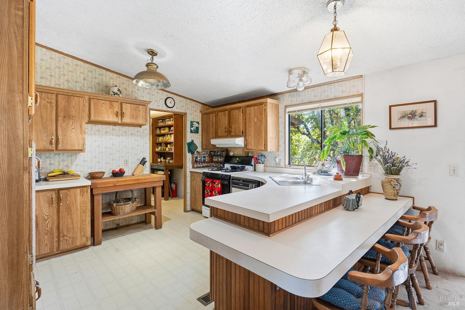 13951 N Busch Road Potter Valley CA 95469