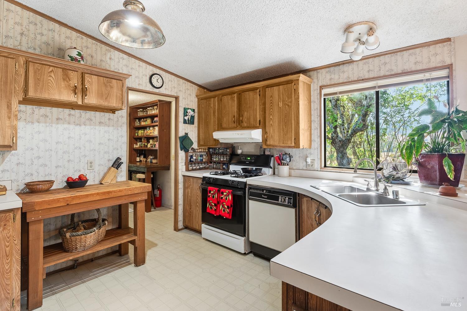 13951 N Busch Road Potter Valley CA 95469