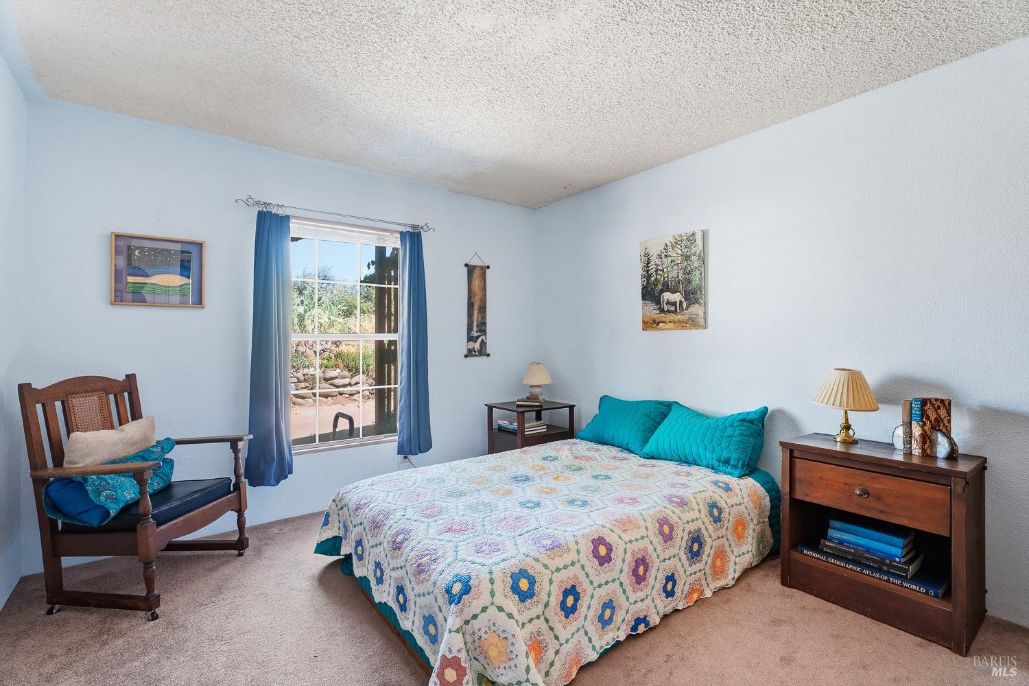 13951 N Busch Road Potter Valley CA 95469