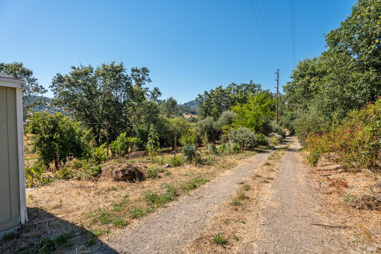 13951 N Busch Road Potter Valley CA 95469