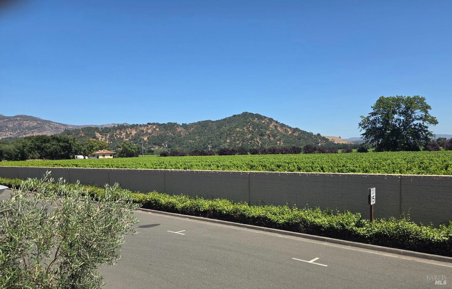 177 Sherry Circle Yountville CA 94599