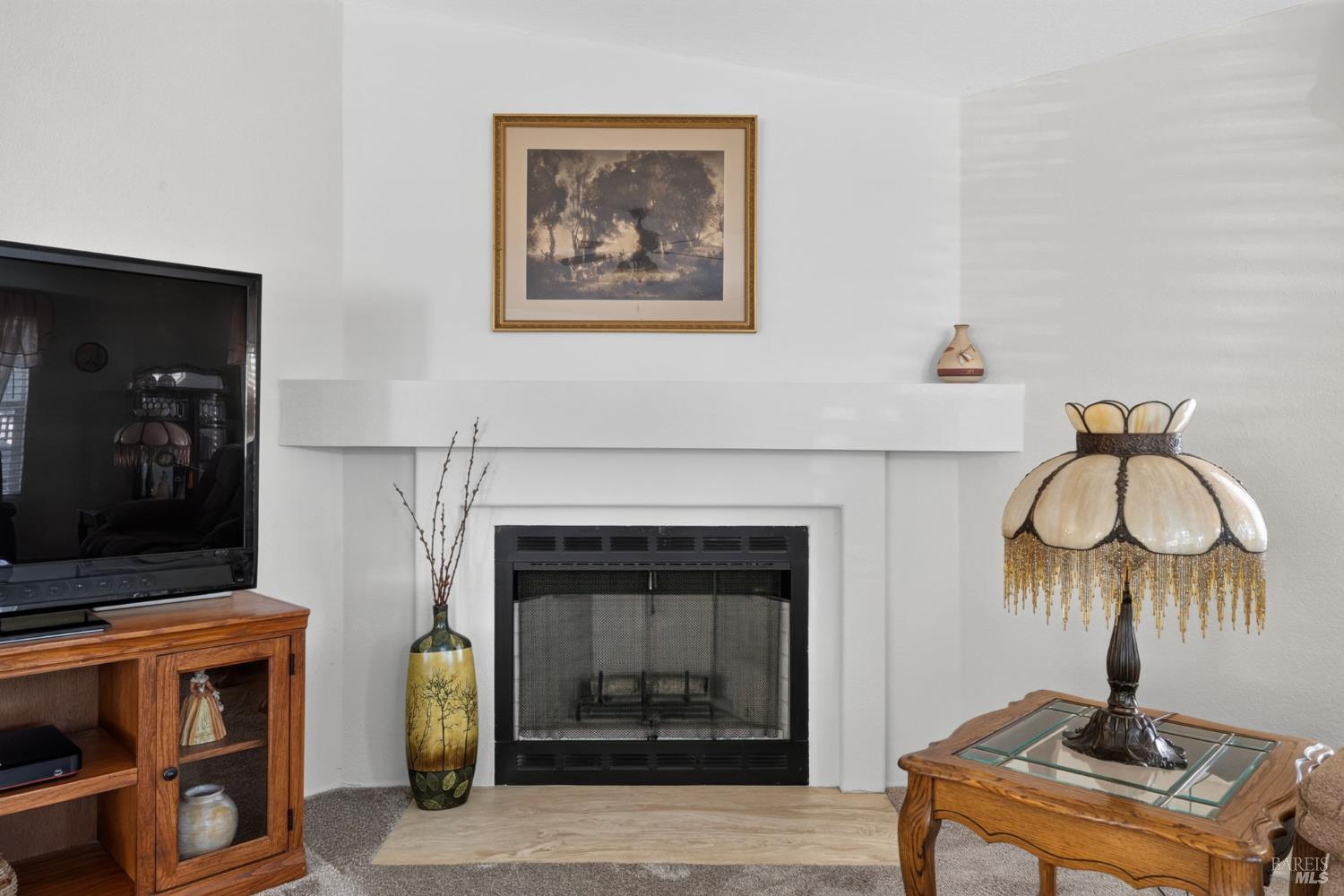 164 Larkspur Drive Santa Rosa CA 95409
