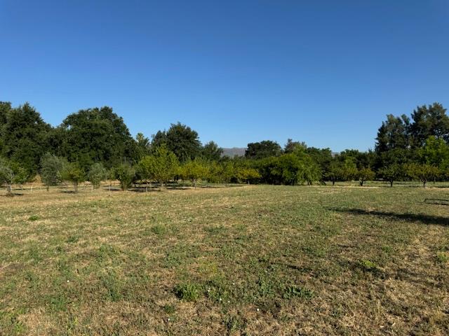17058 Road 57 Guinda CA 95637