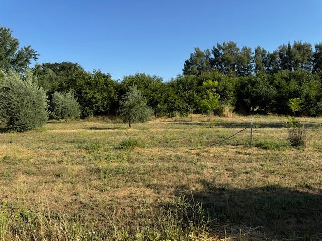 17058 Road 57 Guinda CA 95637