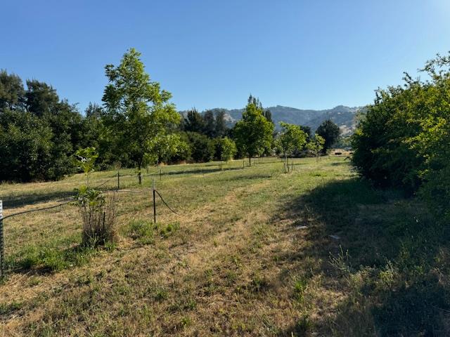 17058 Road 57 Guinda CA 95637